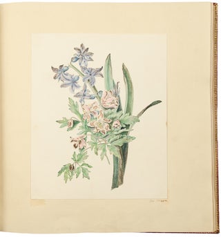An album of drawings and watercolours of natural history and topographical subjects, and including a original watercolour of a bouquet of bluebells and wood-anemones by Margaret Meen