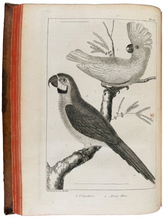 Item #35236 L'Histoire Naturelle éclaircie dans une de ses parties principales l'ornithologie,...