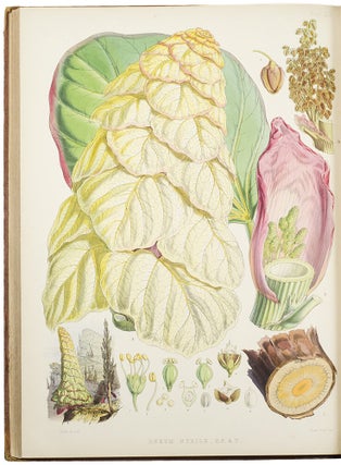 Illustrations of Himalayan Plants, chiefly selected from drawings made for the late J.F. Cathcart Esq. of the Bengal Civil Service