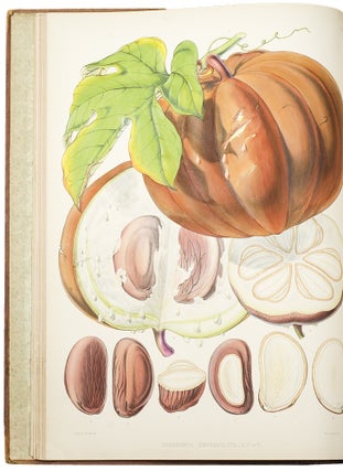 Illustrations of Himalayan Plants, chiefly selected from drawings made for the late J.F.Cathcart Esq. of the Bengal Civil Service