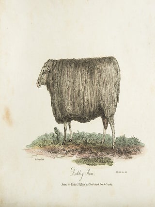 Practical Agriculture; or a Complete System of Modern Husbandry: with the Methods of Planting, and the Management of Live Stock