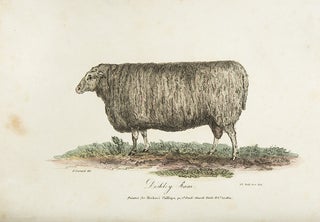 Practical Agriculture; or a Complete System of Modern Husbandry: with the Methods of Planting, and the Management of Live Stock