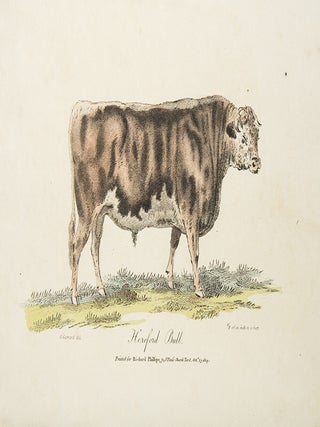 Practical Agriculture; or a Complete System of Modern Husbandry: with the Methods of Planting, and the Management of Live Stock