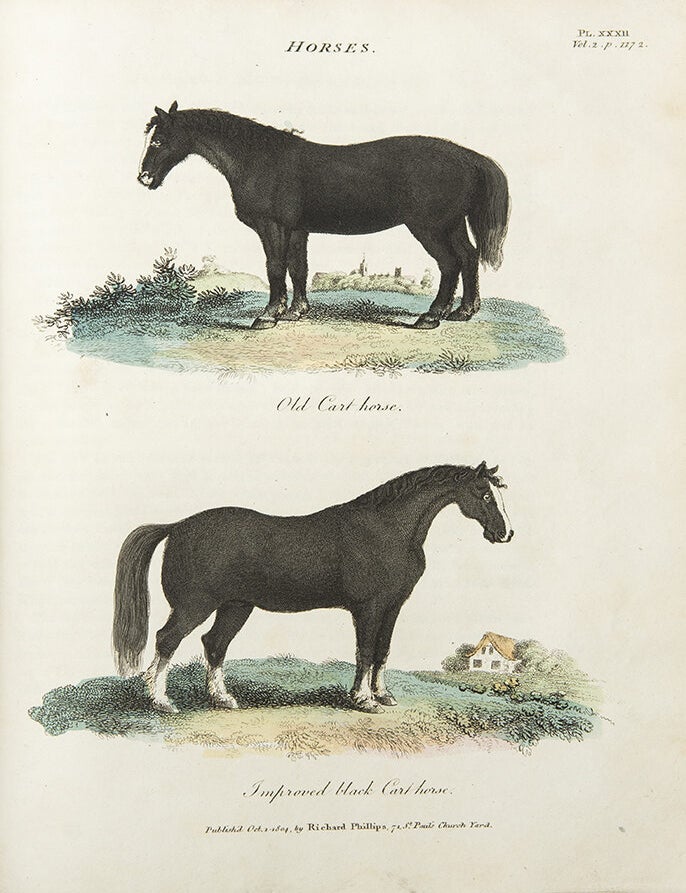 Item #35351 Practical Agriculture; or a Complete System of Modern Husbandry: with the Methods of Planting, and the Management of Live Stock. Dr. Richard W. DICKSON.