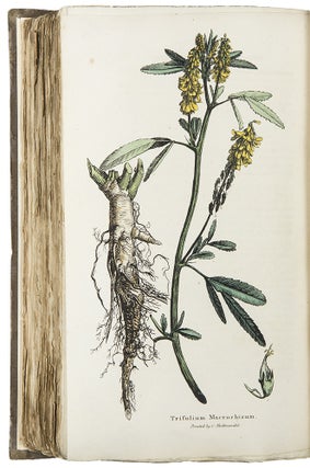 Hortus Gramineus Woburnensis: or, an Account of the Results of Experiments on the Produce and Nutrititive Qualities of Different Grasses and other Plants used as the food of the more valuable domestic animals; instituted by John, Duke of Bedford ... Second Edition