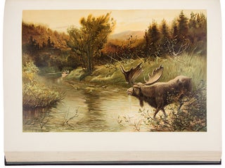 Sport or Fishing and Shooting