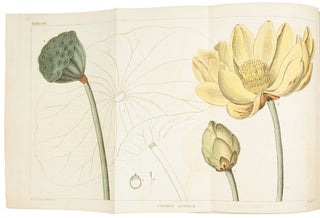 Item #36215 A Flora of North America. Illustrated by coloured figures, drawn from nature. William...