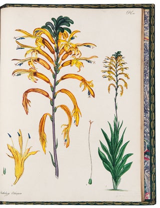 Item #36467 The Botanist's Repository, for New, and Rare Plants. Containing Coloured Figures of...