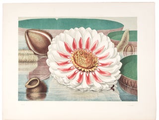 Victoria Regia; or the Great Water Lily of America. With a brief account of its discovery and introduction into cultivation: with illustrations by William Sharp, from specimens grown at Salem, Massachusetts, U.S.A.