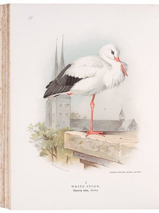 Coloured Figures of the Birds of the British Islands
