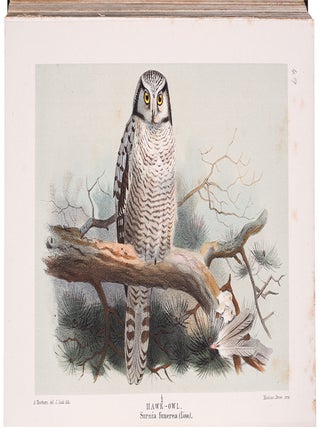Coloured Figures of the Birds of the British Islands