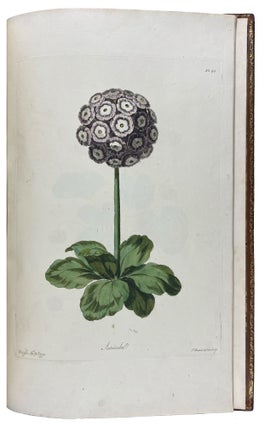 A Select Collection of One Hundred Plates, consisting of the most Beautiful Exotic and British Flowers