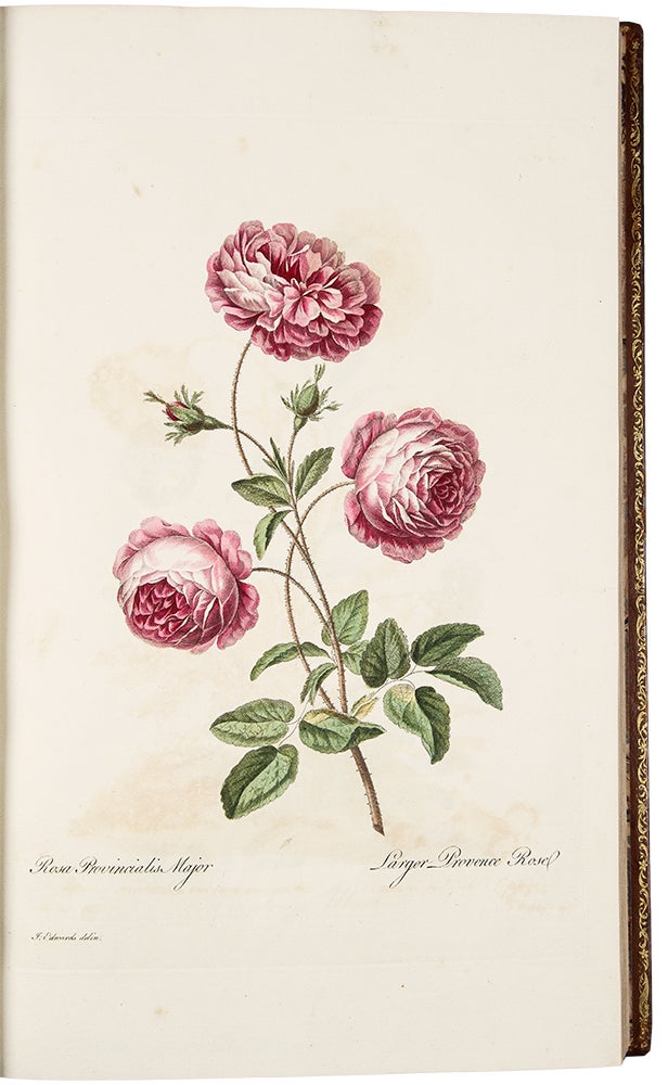 Item #37440 A Select Collection of One Hundred Plates, consisting of the most Beautiful Exotic and British Flowers. John EDWARDS, 1742- after 1812.