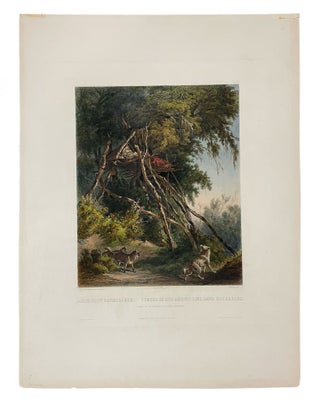 Item #37930 Tombs of Assiniboin Indians on Trees. Karl BODMER