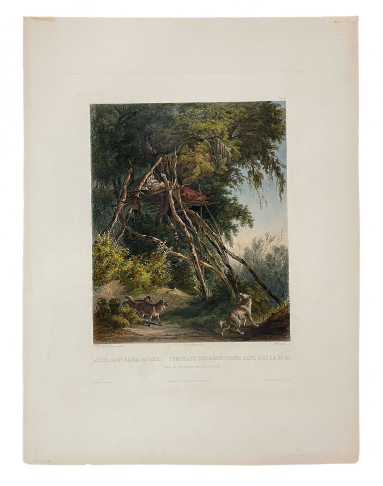 Item #37930 Tombs of Assiniboin Indians on Trees. Karl BODMER.