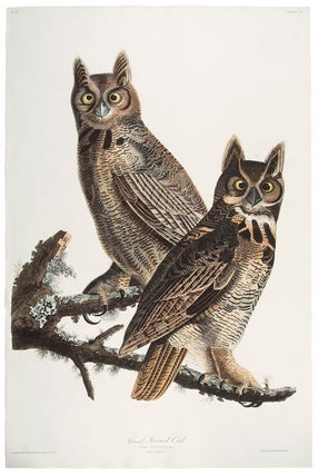 Item #38244 Great Horned Owl. John James AUDUBON