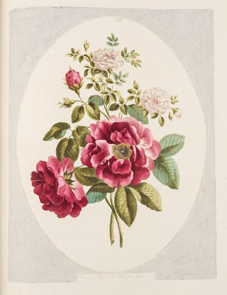 A Collection of Flowers drawn after Nature, & disposed in an Ornamental & Picturesque Manner