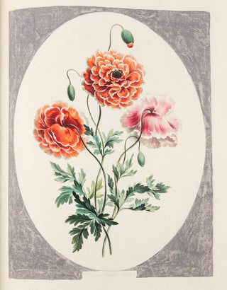 A Collection of Flowers drawn after Nature, & disposed in an Ornamental & Picturesque Manner