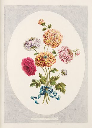 A Collection of Flowers drawn after Nature, & disposed in an Ornamental & Picturesque Manner