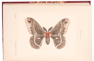 Item #38725 Moths and butterflies of the United States East of the Rocky Mountains. Sherman Foote...