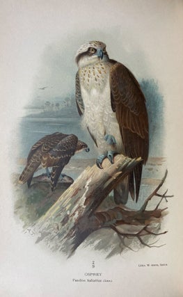 Coloured Figures of the Birds of the British Islands