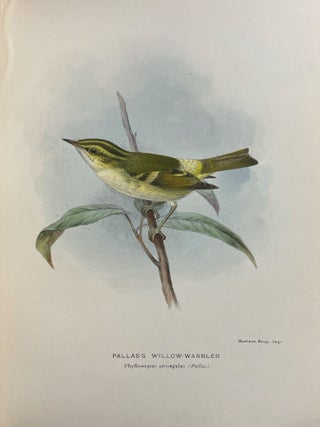 Coloured Figures of the Birds of the British Islands