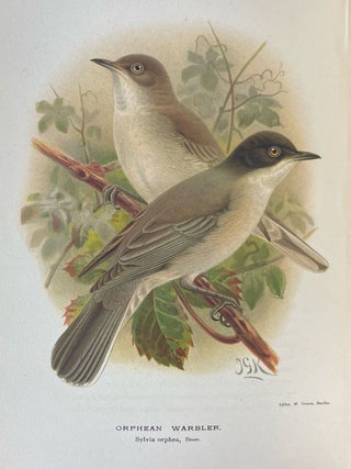 Coloured Figures of the Birds of the British Islands