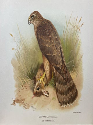 Coloured Figures of the Birds of the British Islands