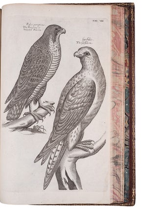 Item #38728 The Ornithology of Francis Willughby ... In three books. Wherein all the birds...