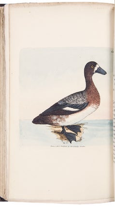 The British Miscellany: or Colored Figures of New, Rare, or Little Known Animal Subjects; many not before ascertained to be inhabitants of the British Isles