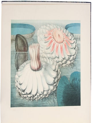 Victoria Regia; or the Great Water Lily of America. With a brief account of its discovery and introduction into cultivation: with illustrations by William Sharp, from specimens grown at Salem, Massachusetts, U.S.A.
