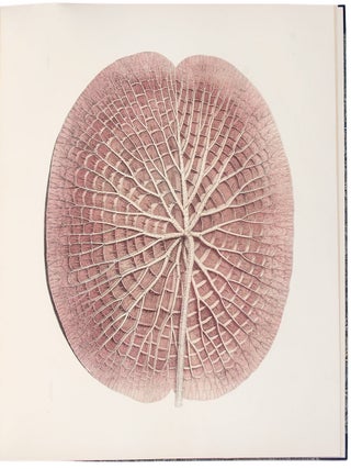 Victoria Regia; or the Great Water Lily of America. With a brief account of its discovery and introduction into cultivation: with illustrations by William Sharp, from specimens grown at Salem, Massachusetts, U.S.A.
