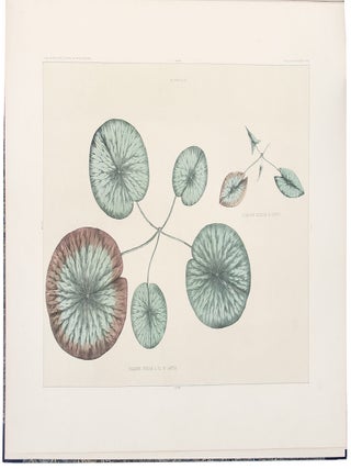 Victoria Regia; or the Great Water Lily of America. With a brief account of its discovery and introduction into cultivation: with illustrations by William Sharp, from specimens grown at Salem, Massachusetts, U.S.A.