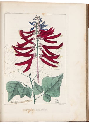 A Flora of North America, illustrated by coloured figures drawn from nature