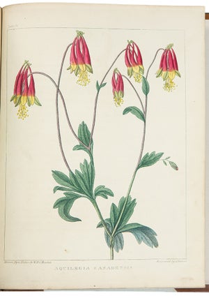 Item #39147 A Flora of North America, illustrated by coloured figures drawn from nature. William...