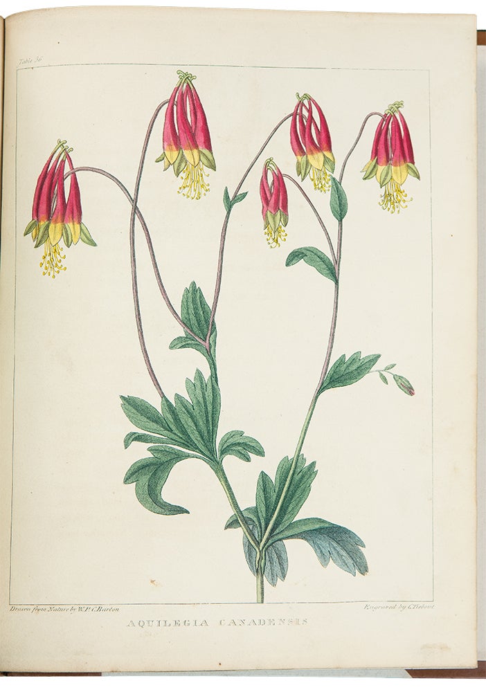 Item #39147 A Flora of North America, illustrated by coloured figures drawn from nature. William Paul Crillon BARTON.
