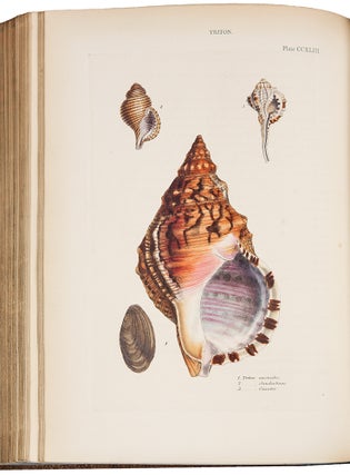Conchologia Systematica, or Complete System of Conchology: In which the Lepades and Conchiferous Mollusca are described and classified according to their natural organization and habits