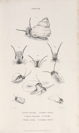 A History of the British Mollusca and their Shells