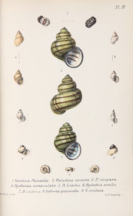 British Conchology or an Account of the Mollusca which now inhabit the British Isles and the surrounding seas