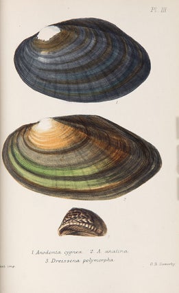 British Conchology or an Account of the Mollusca which now inhabit the British Isles and the surrounding seas