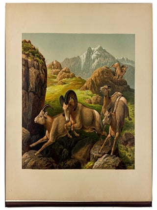 Item #39448 Sport, or Fishing and Shooting. Frederic REMINGTON, A. B FROST, - A. C. GOULD,...