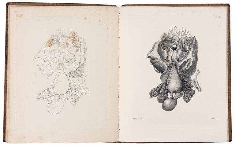 Item #39530 Memoir on the Pearly Nautilus (Nautilus Pompilius, Linn.) with Illustrations of its External Form and Internal Structure. Richard OWEN.