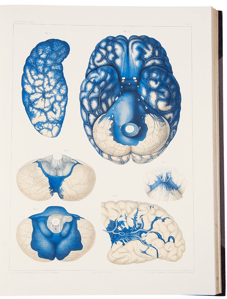 Item #39543 Studien in der Anatomie des Nervensystems und des Bindegewebes. Axel KEY, Magnus Gustaf RETZIUS.
