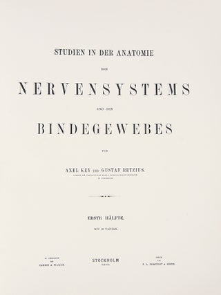Studien in der Anatomie des Nervensystems und des Bindegewebes