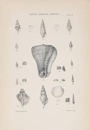 Item #39597 Marine Shells of South Africa: A Catalogue of All the Known Species with References...
