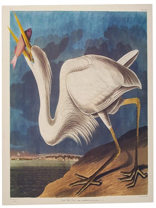 Item #39854 Great White Heron. From "The Birds of America" (Tokyo Edition). John James...