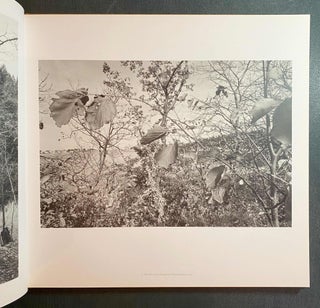 Lee Friedlander Photographs Frederick Law Olmstead Landscapes