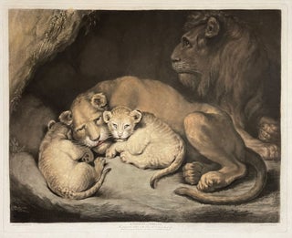 Item #40000 Lioness and Whelps. James NORTHCOTE, Richard EARLOM