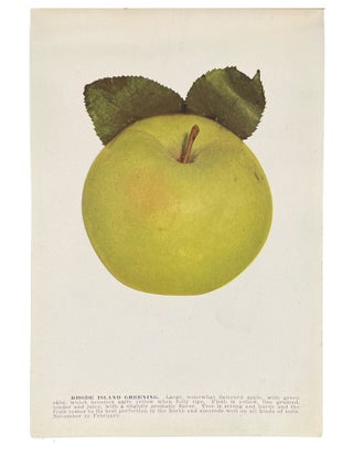 A Tree-Peddler's Sample Book for Washington Nursery Co., Toppenish, Washington