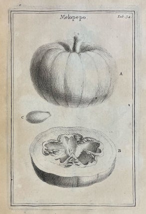 Institutiones Rei Herbariae. Editio Altera, Gallica Longe Auctior. Quingentis circiter Tabulis aneis adornata.